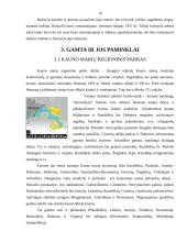 Kauno rajono lankytinos vietos 9 puslapis