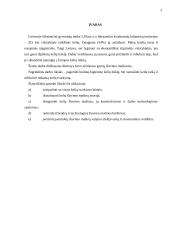 Kelių šlavimo mašinų istorija 2 puslapis