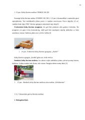 Kelių šlavimo mašinų istorija 13 puslapis