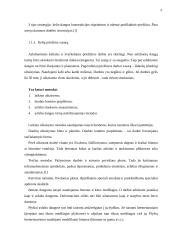 Kelių šlavimo mašinų istorija 4 puslapis