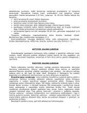 Kineziterapija 5 puslapis