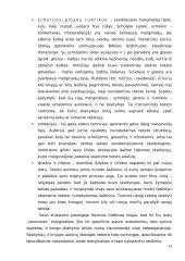 Mikalojaus Daukšos "Postilės" marginalijos 12 puslapis