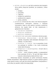 Mikalojaus Daukšos "Postilės" marginalijos 17 puslapis