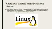 Operacinės sistemos skaidrės 4 puslapis