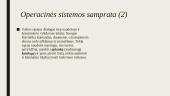 Operacinės sistemos skaidrės 8 puslapis
