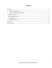 Ikimokyklinio amžiaus vaikų žaidimai, jų įvairovė ir edukaciniai aspektai 2 puslapis