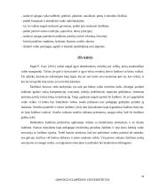 Ikimokyklinio amžiaus vaikų žaidimai, jų įvairovė ir edukaciniai aspektai 13 puslapis