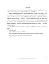 Ikimokyklinio amžiaus vaikų žaidimai, jų įvairovė ir edukaciniai aspektai 3 puslapis