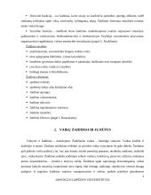 Ikimokyklinio amžiaus vaikų žaidimai, jų įvairovė ir edukaciniai aspektai 5 puslapis