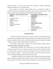 Ikimokyklinio amžiaus vaikų žaidimai, jų įvairovė ir edukaciniai aspektai 6 puslapis