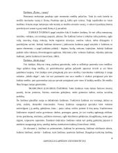 Ikimokyklinio amžiaus vaikų žaidimai, jų įvairovė ir edukaciniai aspektai 8 puslapis