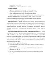 Sveikatos ir/ar lytiškumo ugdymo užsiėmimo planas – konspektas 2 puslapis