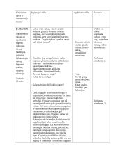 Sveikatos ir/ar lytiškumo ugdymo užsiėmimo planas – konspektas 3 puslapis