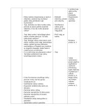 Sveikatos ir/ar lytiškumo ugdymo užsiėmimo planas – konspektas 5 puslapis