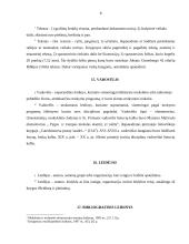 Knygotyros terminologija ir atskiri terminai 8 puslapis