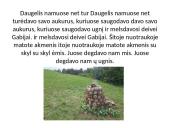 Baltų dievai ir deivės 10 puslapis