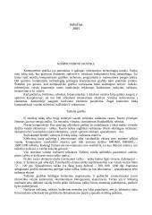 Kompiuterio grafika 2 puslapis