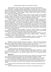 Kompiuterio grafika 3 puslapis