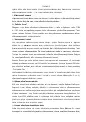 Kompiuterio virusai ir antivirusinės programos 4 puslapis