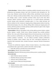 Infliacija kaip socialinė problema 2 puslapis