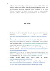 Infliacija kaip socialinė problema 12 puslapis