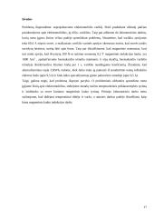 Elektromobilio variklio projektavimas 14 puslapis