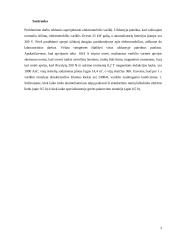 Elektromobilio variklio projektavimas 2 puslapis