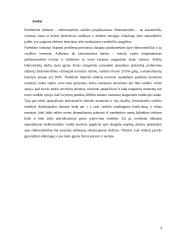 Elektromobilio variklio projektavimas 3 puslapis