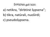 Skaidrės apie neverbalinę komunikaciją 11 puslapis