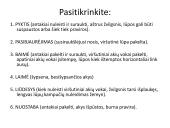 Skaidrės apie neverbalinę komunikaciją 8 puslapis