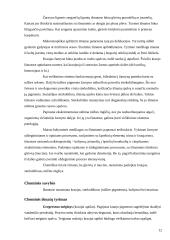 Koprologinis tyrimas. Helmintų laboratorinė diagnostika 12 puslapis