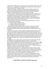 Korundinė keramika 11 puslapis