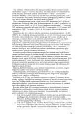 Korundinė keramika 12 puslapis