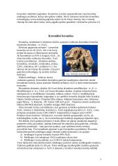 Korundinė keramika 3 puslapis
