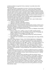 Korundinė keramika 7 puslapis