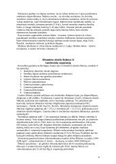 Korundinė keramika 8 puslapis