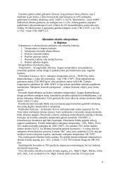 Korundinė keramika 9 puslapis