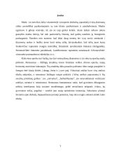 Kostiumo istorija. XV-XVI amžiaus Prancūzija 3 puslapis