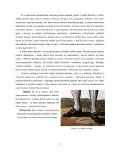 Kostiumo istorija. XV-XVI amžiaus Prancūzija 6 puslapis