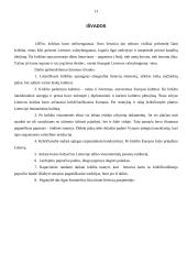 Krikšto priėmimo Lietuvoje kultūrinė problema 13 puslapis