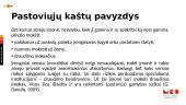 Kaštai ir jų klasifikacijos analizė 11 puslapis