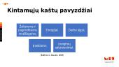 Kaštai ir jų klasifikacijos analizė 13 puslapis