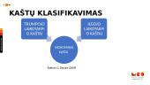 Kaštai ir jų klasifikacijos analizė 9 puslapis