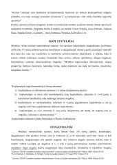 Kryždirbystė 3 puslapis