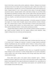 Kryždirbystė 10 puslapis