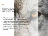 Skaidrės apie vilkus 14 puslapis