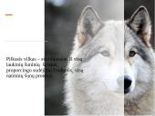 Skaidrės apie vilkus 2 puslapis