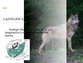 Skaidrės apie vilkus 3 puslapis