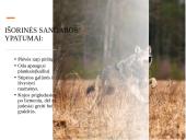 Skaidrės apie vilkus 7 puslapis