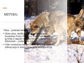 Skaidrės apie vilkus 8 puslapis